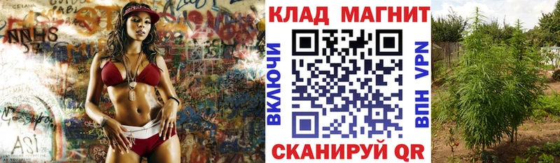 Где можно купить наркотики Семикаракорск Амфетамин  Галлюциногенные грибы  ГАШИШ  Конопля  COCAIN 
