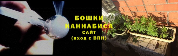 сатива Балабаново