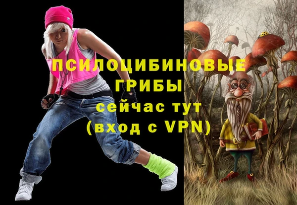 винт Арсеньев