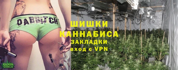 винт Арсеньев