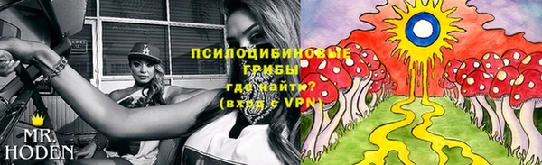 винт Арсеньев